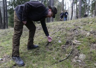 Vlastníci lesů mohou letos získat od státu 1,2 miliardy korun