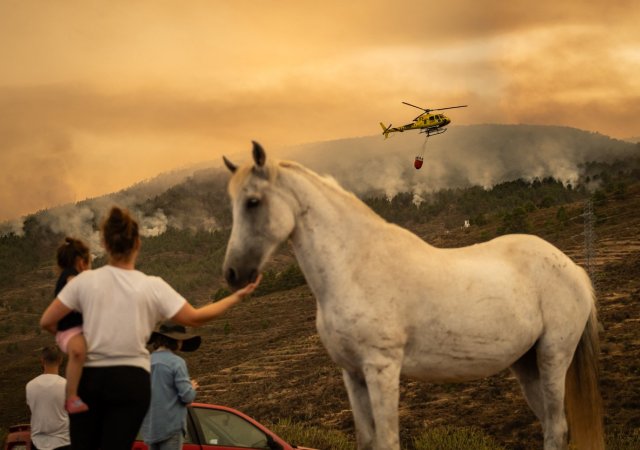 Na Tenerife shořelo šest procent území, plameny postupují pomaleji