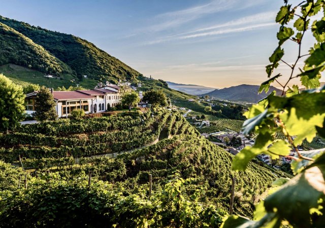 Kvalita šumivých vín s označením prosecco může být excelentní, ale taky dost mizerná. A právě to znepokojuje výrobce těch kvalitnějších. Některá severoitalská vinařství se proto rozhodla na svých lahvích raději označení prosecco vůbec neuvádět.