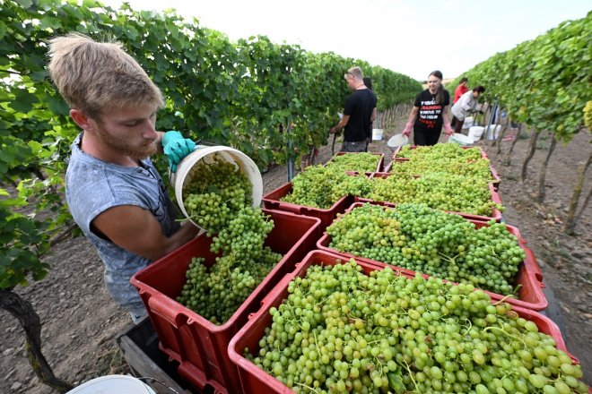 Inflační tlaky ve výrobě zůstávají víceméně utlumené. Prozatím