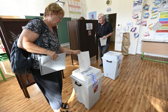 Volby do Senátu a zastupitelstev krajů