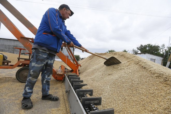 Evropská unie zavede vyšší cla na ruské a běloruské obilí