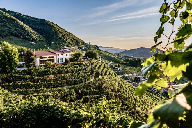 Kvalita šumivých vín s označením prosecco může být excelentní, ale taky dost mizerná. A právě to znepokojuje výrobce těch kvalitnějších. Některá severoitalská vinařství se proto rozhodla na svých lahvích raději označení prosecco vůbec neuvádět.