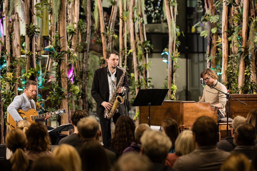 Ondřej Pivec a jeho Organic Trio (Libor Šmoldas, Jakub Doležal) - tentokrát v sestavě bez bicích. 