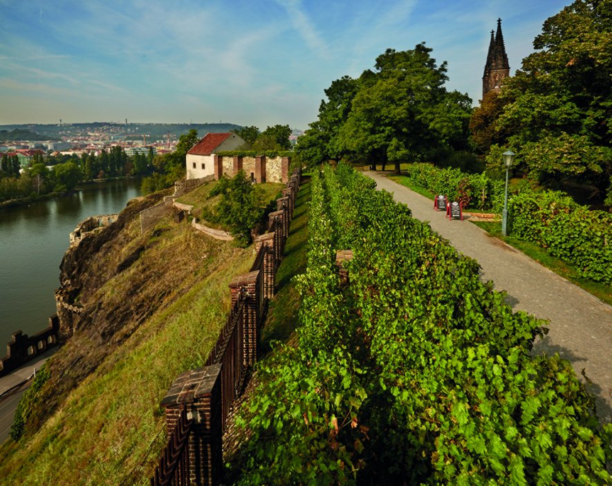 Vinice NKP Vyšehrad