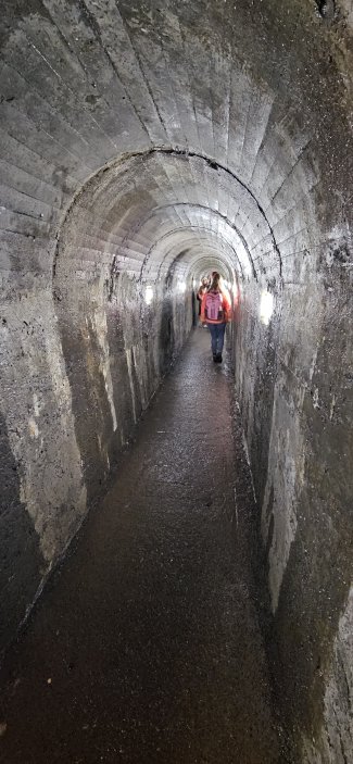 Algar do Carvao, tedy Uhelná jeskyně, leží hluboko pod povrchem země. Dnes se ale do ní nemusíte slaňovat, je zde vybudován 45 metrů dlouhý betonový tunel až přímo do sopouchu, tedy do srdce sopky