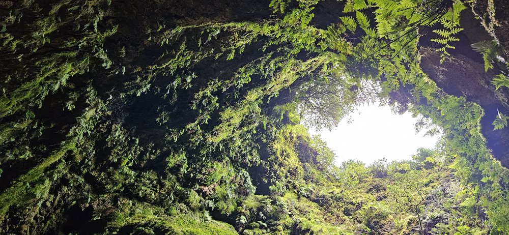 Algar do Carvao, tedy Uhelná jeskyně, leží hluboko pod povrchem země. 