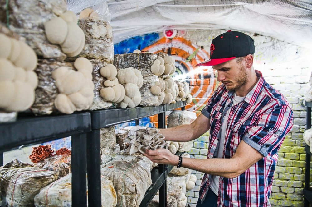 David Kovář začal v době covidové pandemie pěstovat houby v garáži