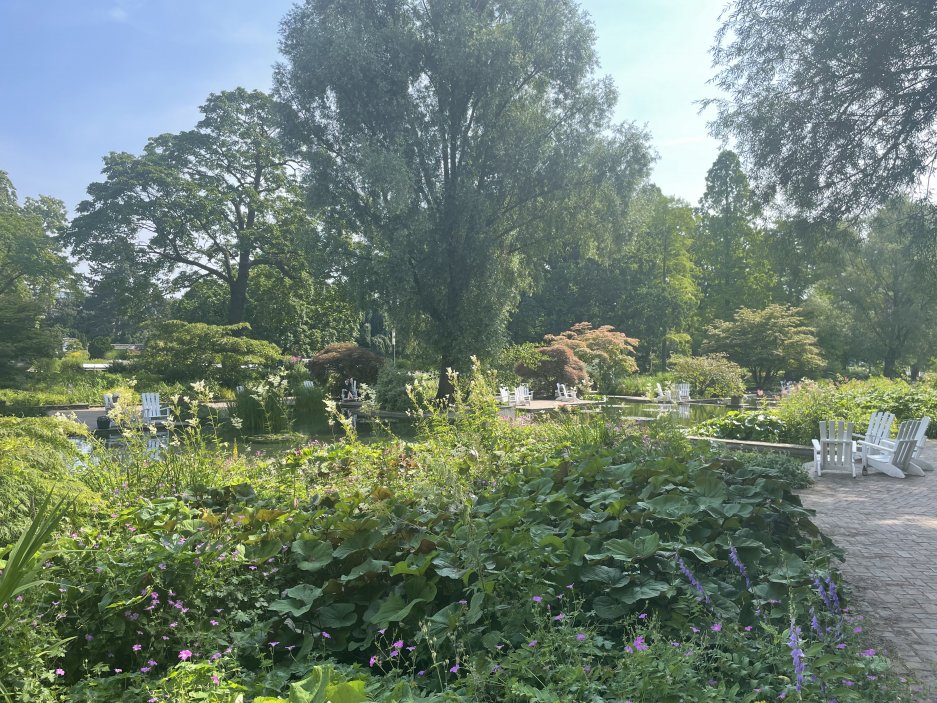 Planten un Blomen je zelená oáza v centru města. Park se rozkládá na ploše asi 47 hektarů od Dammtor po Reeperbahn. V létě jsou zde také možnosti trávení volného času a spousta hudby