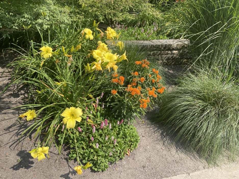 Planten un Blomen je zelená oáza v centru města. Park se rozkládá na ploše asi 47 hektarů od Dammtor po Reeperbahn. V létě jsou zde také možnosti trávení volného času a spousta hudby