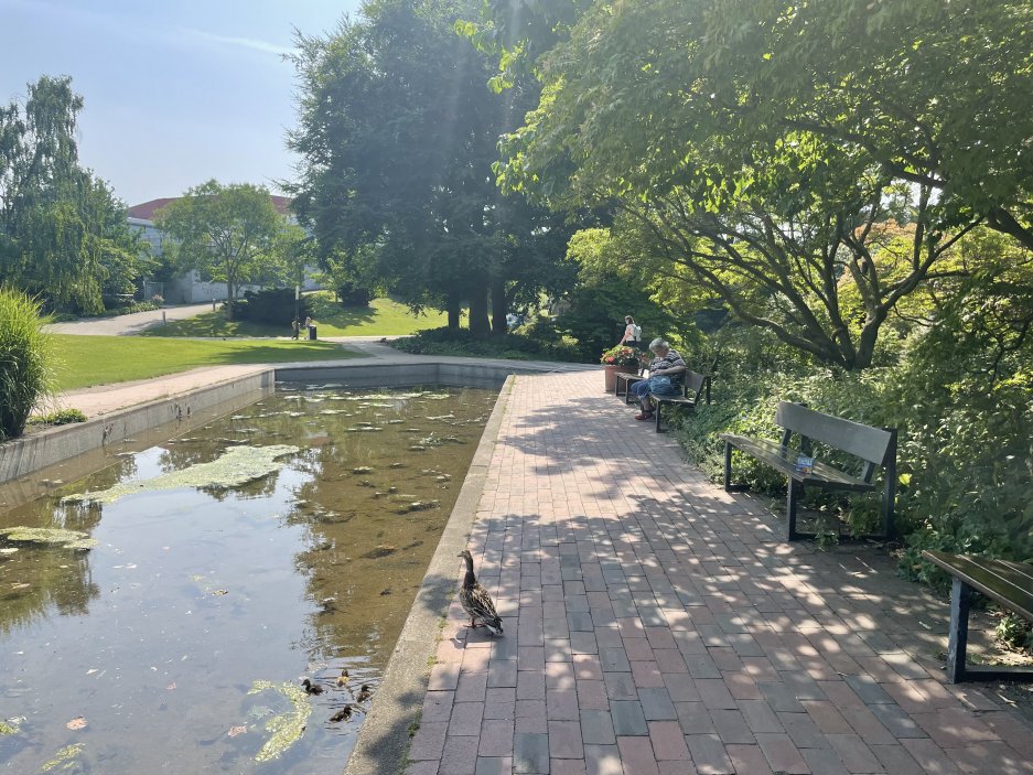 Planten un Blomen je zelená oáza v centru města. Park se rozkládá na ploše asi 47 hektarů od Dammtor po Reeperbahn. V létě jsou zde také možnosti trávení volného času a spousta hudby