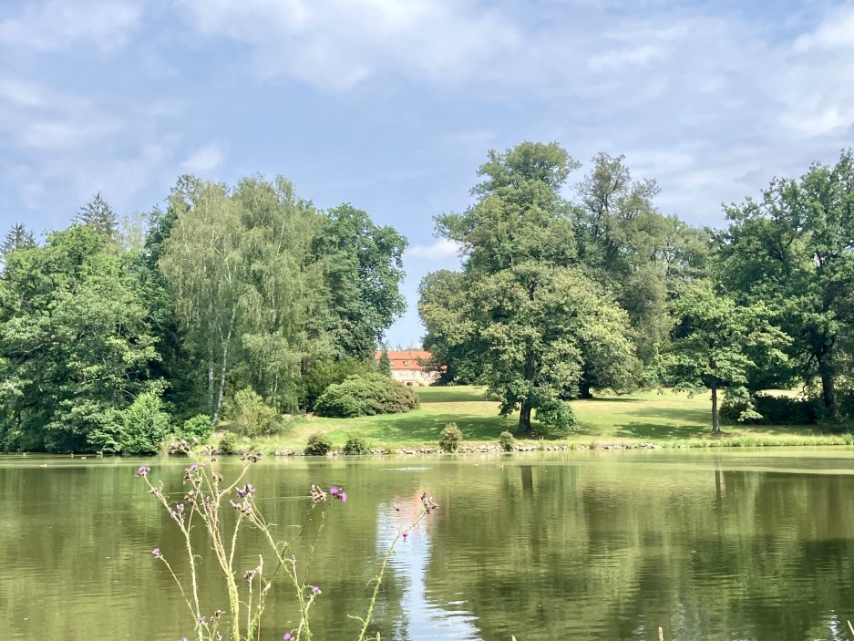 Po roce 1985 byl park předmětem rozsáhlých úprav a výsadeb, zejména keřů a z nich rododendronů.