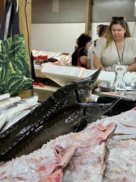 Rybí trh překvapivě vůbec nesmrdí. Vše je čerstvé, skladované na ledu a hygiena mimořádná.