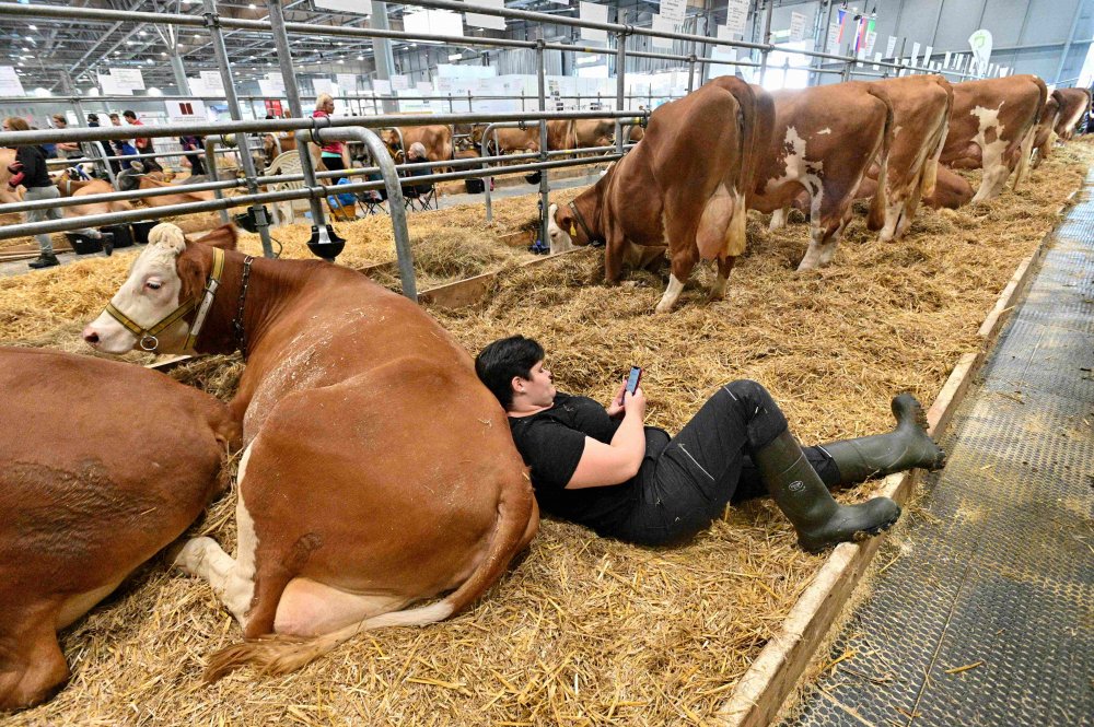 V kategorii Člověk a životní prostředí získal nominaci Igor Zehl (ČTK) za snímek nazvaný Digitální pohoda.