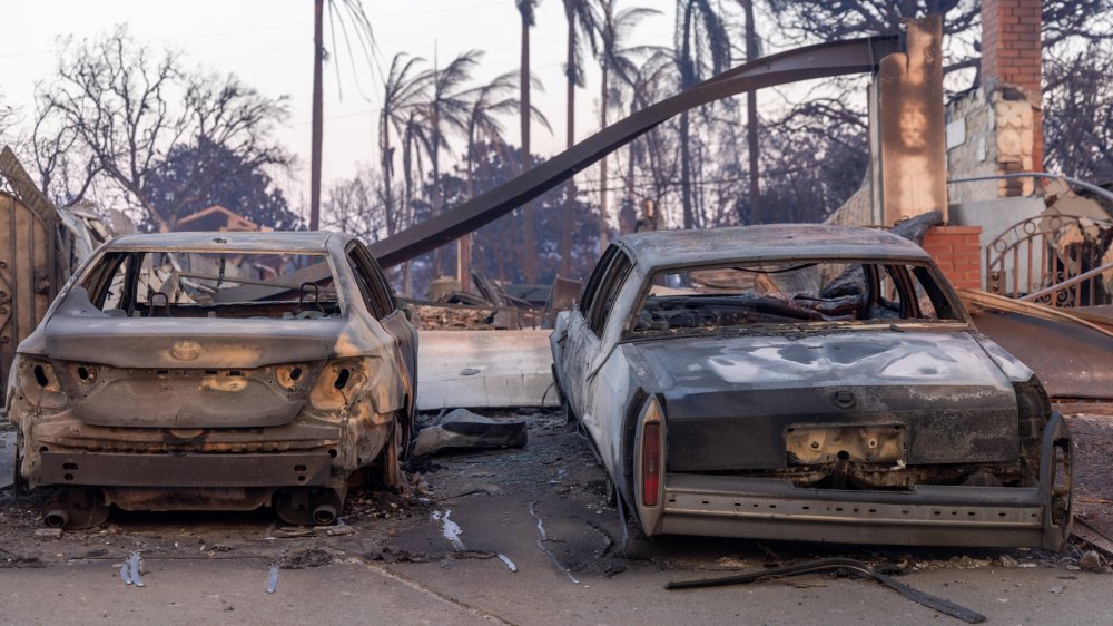 Požáry v Los Angeles jsou na nejlepší cestě stát se jedním z nejnákladnějších katastrof tohoto typu v dějinách USA. 