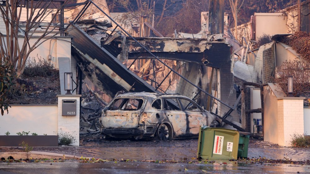 Požáry v Los Angeles jsou na nejlepší cestě stát se jedním z nejnákladnějších katastrof tohoto typu v dějinách USA. 