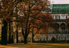 Chotkovy sady, sousedící s Letohrádkem královny Anny mezi ulicemi Mariánské hradby a Chotkovou, jsou památkově chráněným parkem s bohatou historií.