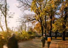 Park v anglickém stylu, založený roku 1832 v souvislosti s výstavbou Chotkovy silnice, je prvním veřejným parkem v Praze a zároveň prvním dílem Františka Thomayera.  