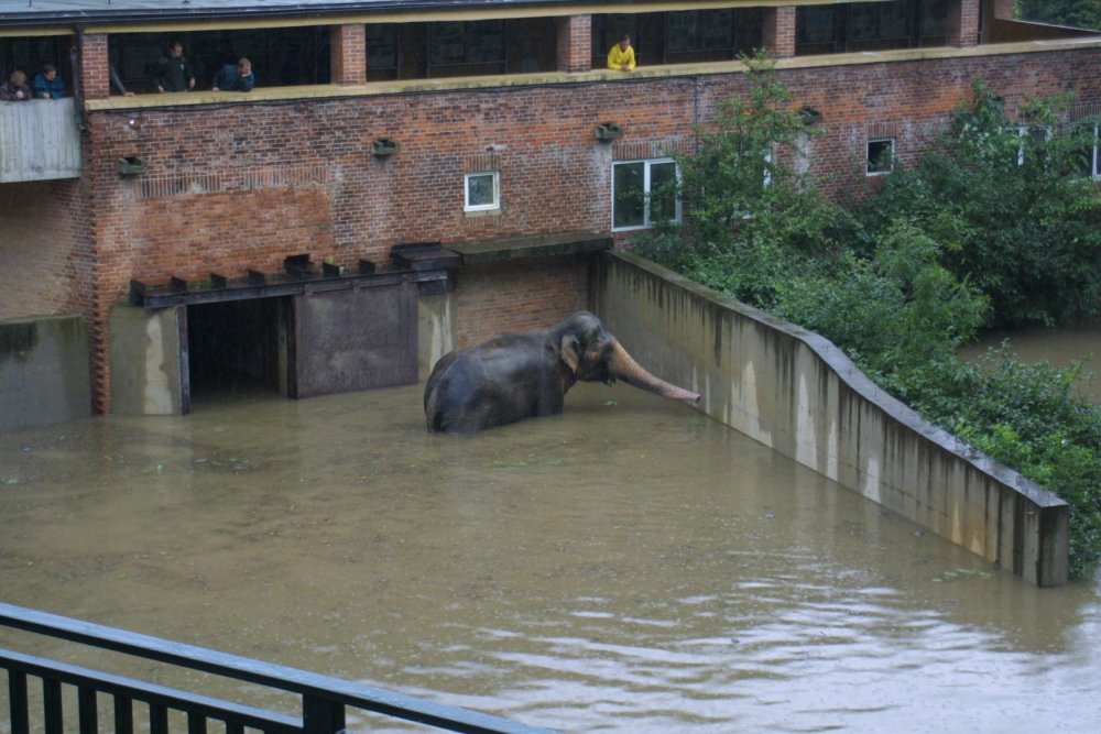 Záplavy v srpnu 2002 v pražské zoologické zahradě v Troji.