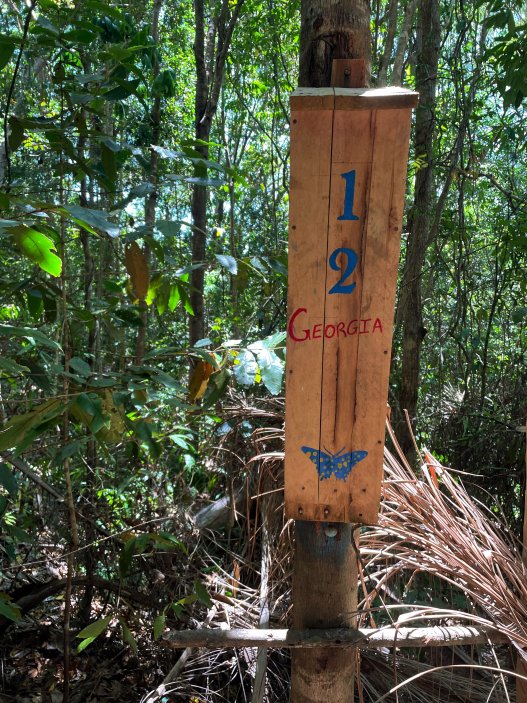 Budka pro menší druhy lemurů, přírodní rezervace Lokobe, Nosy Be, Madagaskar