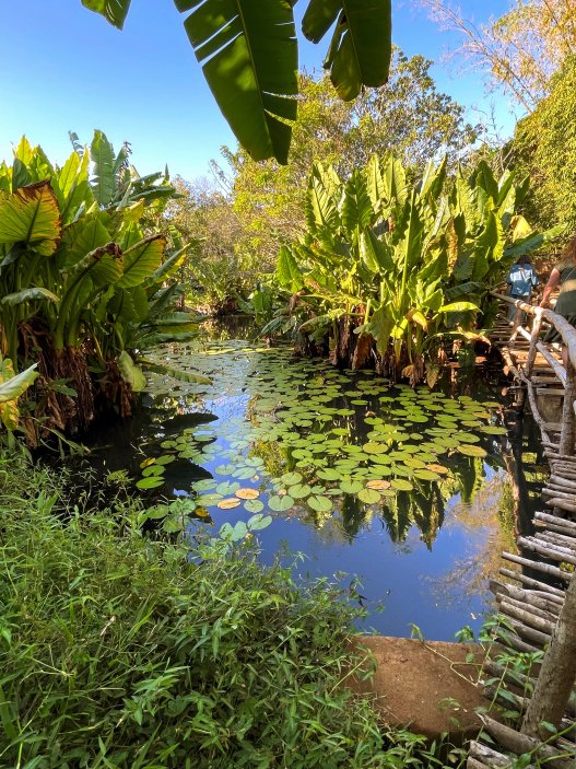 Lemur Land, Nosy Be, Madagaskar