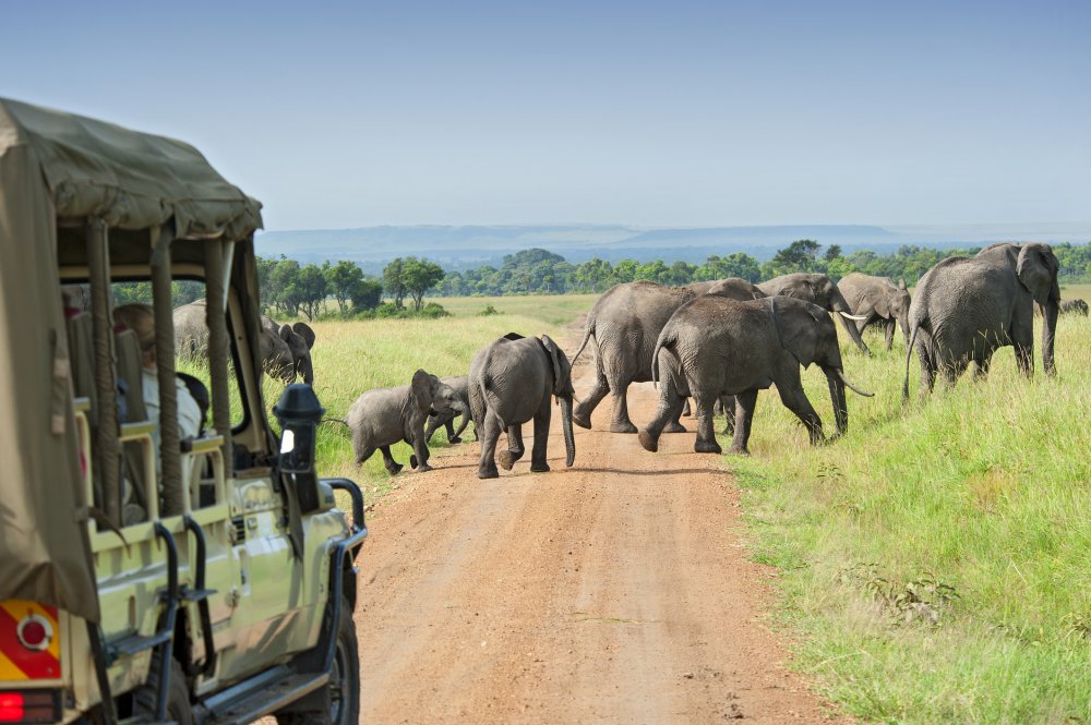 Cestovatelé mohou putovat po parku Ruaha celé dny, aniž by spatřili jiná auta s turisty. Příjmy z turistických expedic navíc pomáhají financovat zdejší výzkum, správu a ochranu přírody. V roce 2022 zde byl proto také otevřen expediční tábor Usangu od společnosti Asilia, který je jediným místem pro ubytování. Hosté se tady podílejí i na sběru dat z kamerových pastí ve dne a termovizních monokulárních kamer v noci.