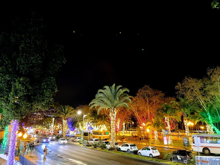 Navečer se Funchal rozzáří tisíci světel. V přístavu barevně září i stromy. 