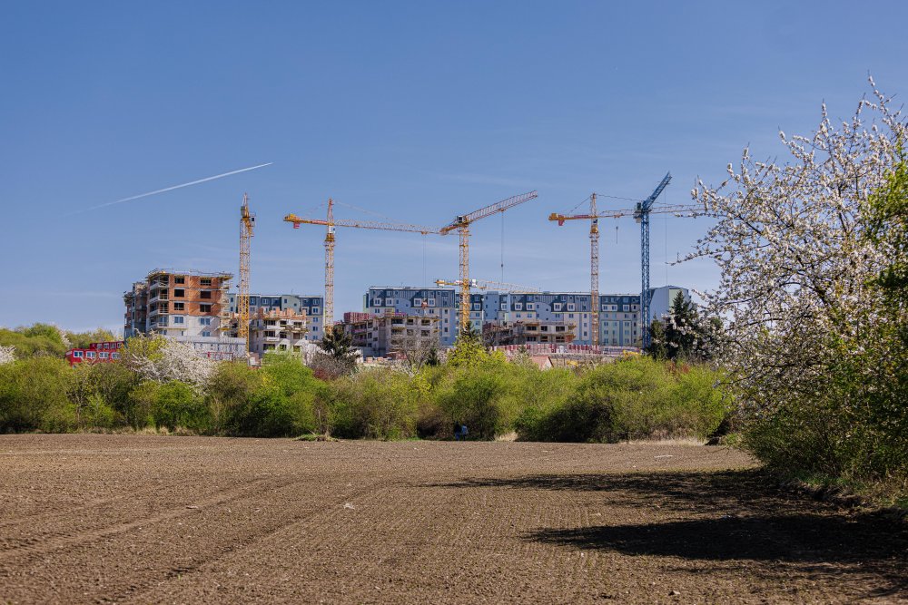 Celé území se má změnit podle studie, kterou vypracuje studio Gogolák+Grasse architekti.