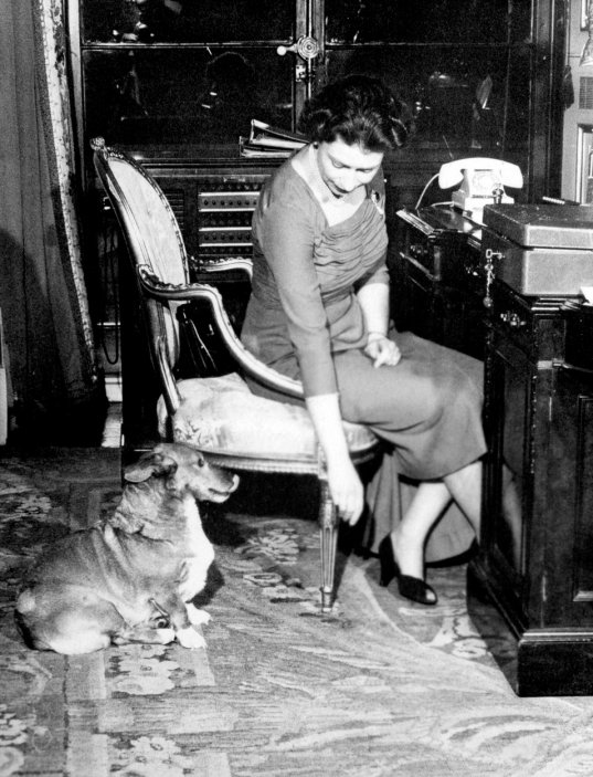 Královna Alžběta II. se svým psem, velšským corgi Susan, ve své pracovně v roce 1959.