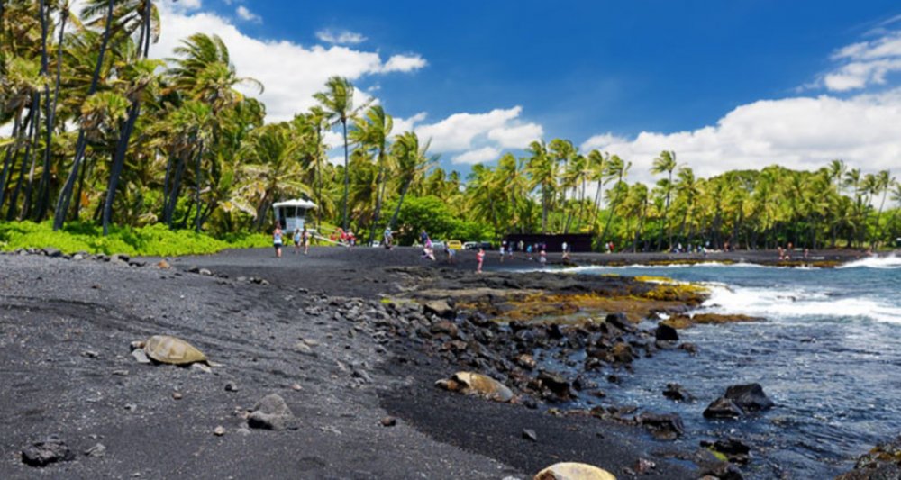 Punaluu, Velký ostrov (Big Island), Havaj, USA Tou nejznámější černou pláží je na Velkém ostrově ovšem Punaluu Black Sand Beach, která se nachází mezi městy Kona a Hilo nedaleko vesnice Volcano Village a v bezprostřední blízkosti národního parku havajských sopek - Hawaii Volcanoes.