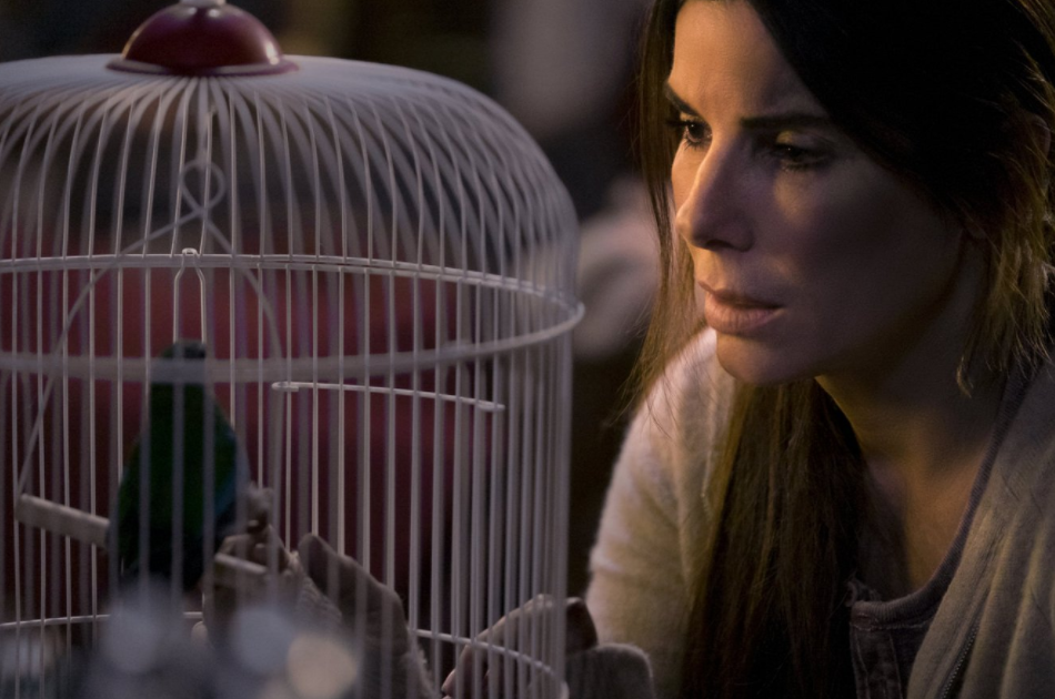 Sandra Bullock za roli ve filmu The Lost City od D dostane 20 milionů dolarů. Snímek je z filmu V pasti.