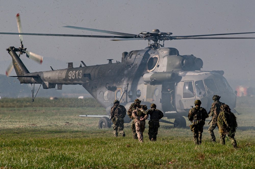 Ukázky na dnech NATO předvádějí armádní, bezpečnostní a záchranářské jednotky, letos z 19 zemí. Poprvé mezi nimi byli zástupci Portugalska a Lucemburska